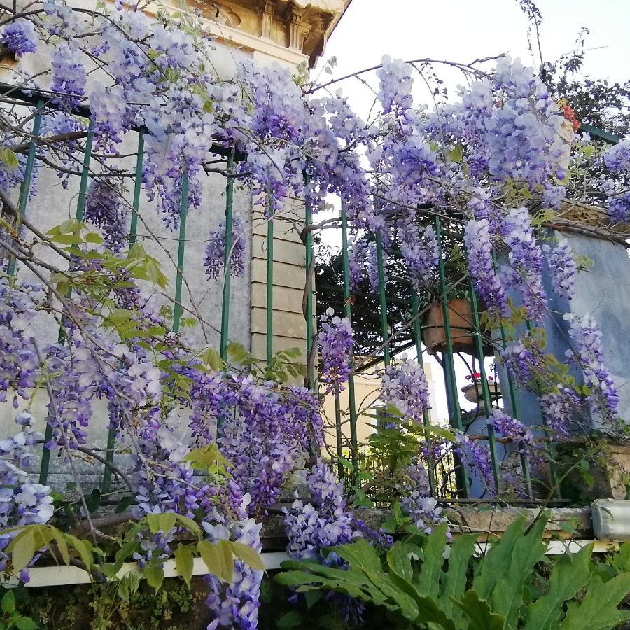Villa Manasse Aci Castello Luaran gambar